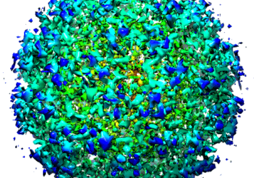 Barmah Forest Virus